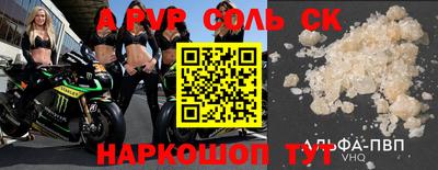 СК Шелехов