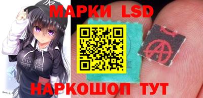спиды Шахты