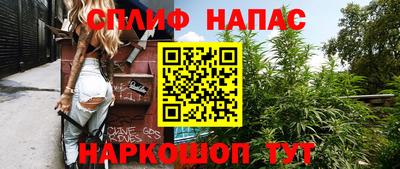 СК Шелехов