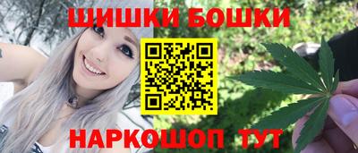 СК Шелехов