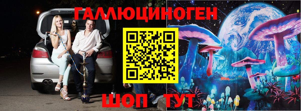 Вязники  Псилоцибиновые грибы ЛСД  Вход с VPN  Псилоцибиновые грибы мухоморы 